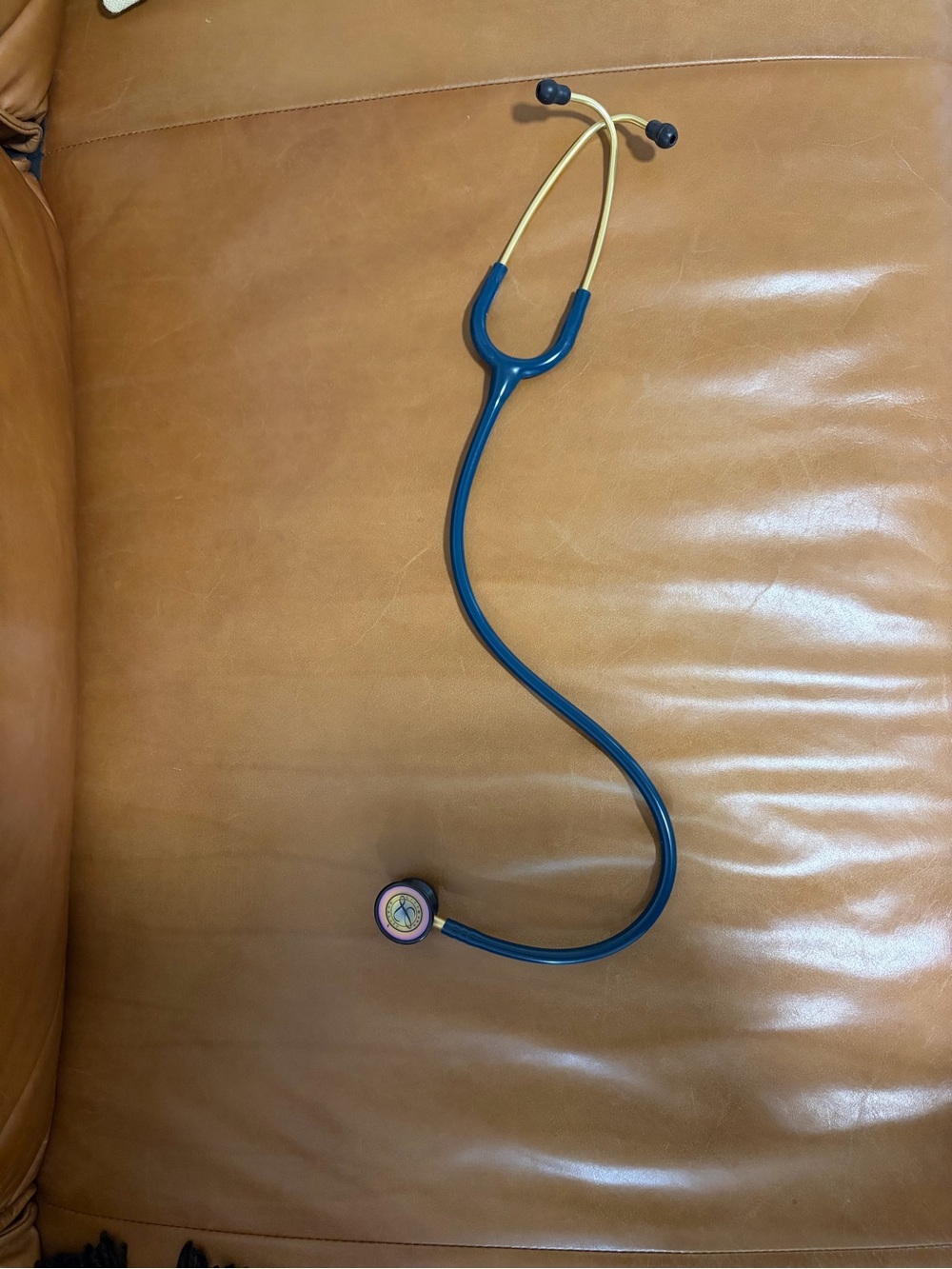 Littmann pediatric stethoscope Caribbean teal and rainbow